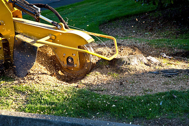 Mulching Services in Almedia, PA